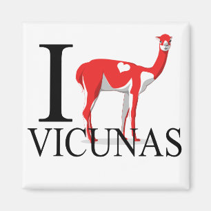 I Love Vicunas Magnets