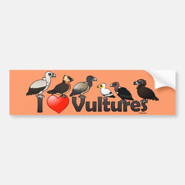I Love Vultures (Eurasia) Bumper Sticker (Front)