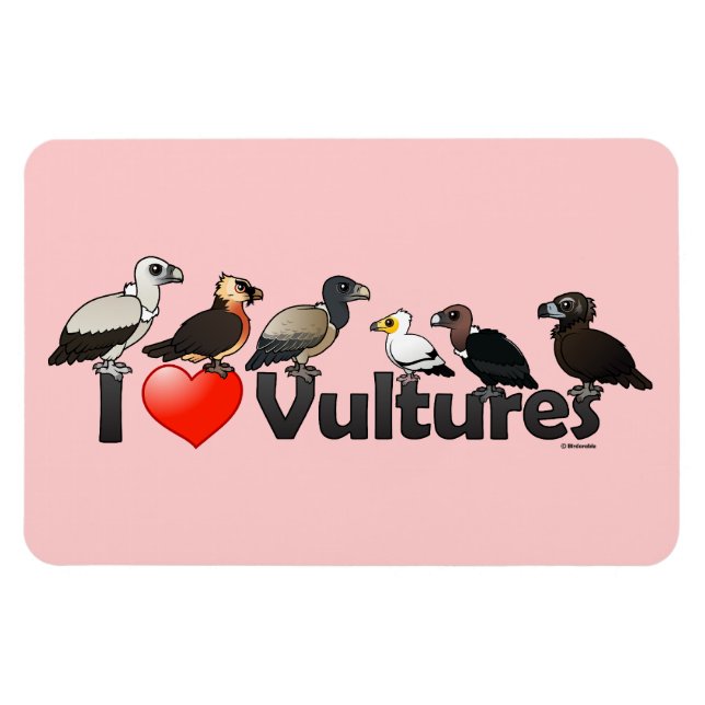 I Love Vultures (Eurasia) Magnet (Horizontal)