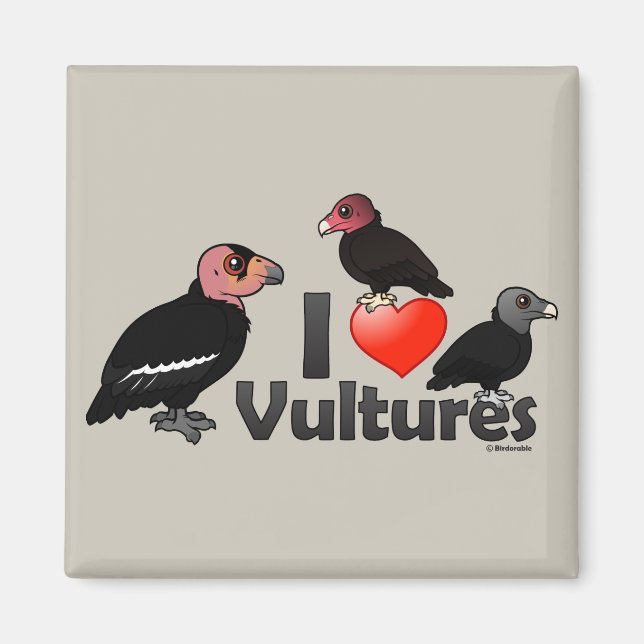 I Love Vultures (North America) Magnet (Front)