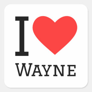 I love wayne square sticker