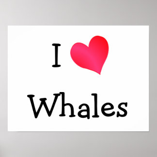 I Love Whales Poster