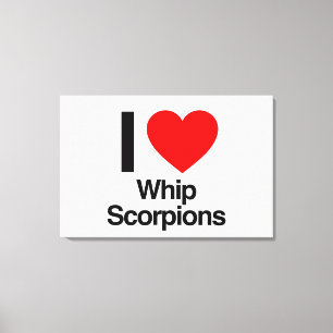 i love whip scorpions canvas print