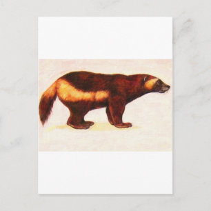 I Love Wolverine Postcard