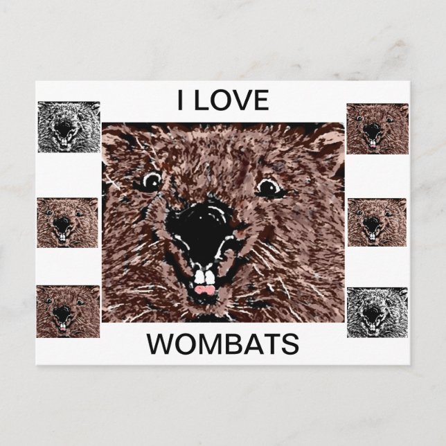 I LOVE WOMBATS POSTCARD (Front)