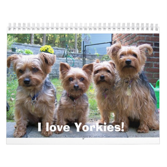 I love Yorkies! Calendar (Cover)