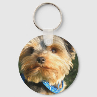 I Love Yorkies Key Ring