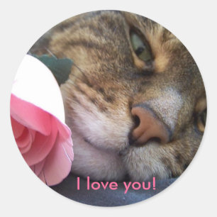 I Love You Cat Sticker