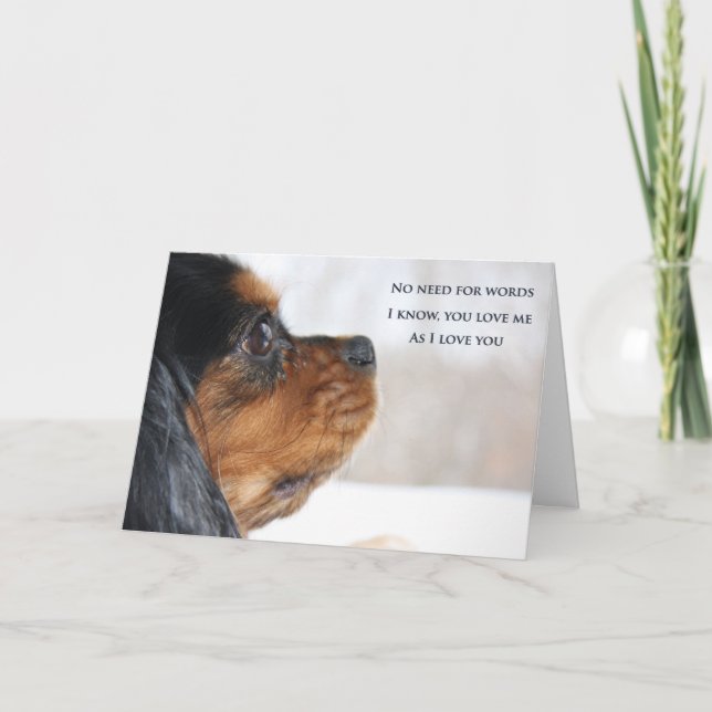 I Love You Cavalier King Charles Spaniel Card (Front)