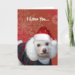 I Love You Christmas poodle greeting card