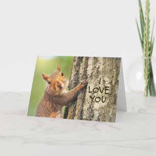 I Love You Cute Squirrel Climbing Tree Photograph Holiday Card