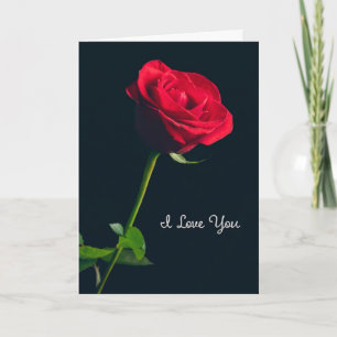 I Love You For Anyone Elegant Red Rose on Black  Holiday Card