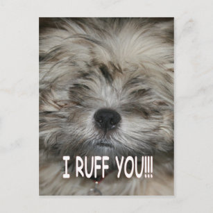 I love you I ruff you shih tzu dog puppy Postcard