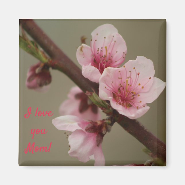 I love you Mum! pink blossom magnet (Front)