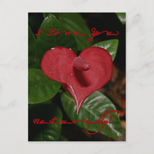 I Love You Naturally! - Fabric look - Valentine Holiday Postcard