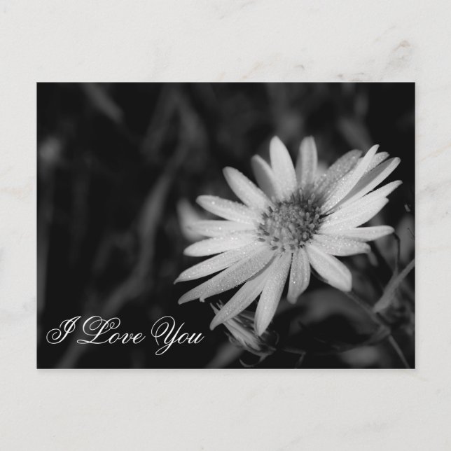 I Love You Postcard (Front)