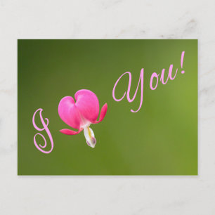 I love you! postcard