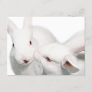 I love you postcard