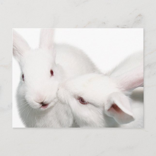 I love you postcard (Front)