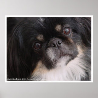 I love you puppy poster