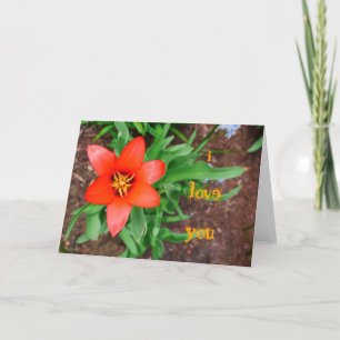i love you-Red Tulip Card