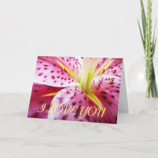 I Love You Stargazer Lily Card