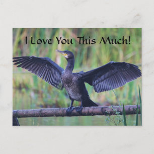 I Love You This Much - Cormorant Postcard