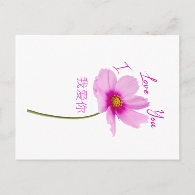 I Love You (Wo Ai Ni) in Chinese Postcard (Front)