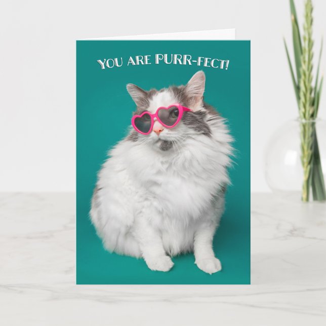 I Love You You are Purr-fect Cat in Sunglasses Holiday Card (Front)