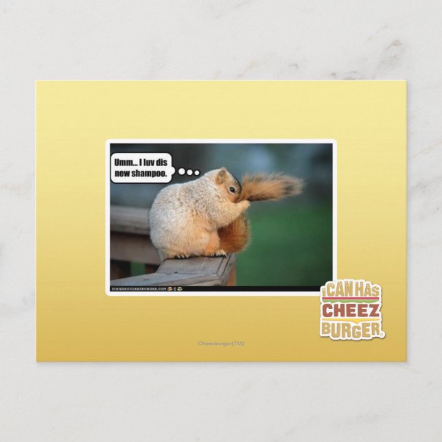 I luv dis new shampoo postcard (Front)