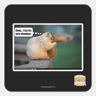 I luv dis new shampoo square sticker