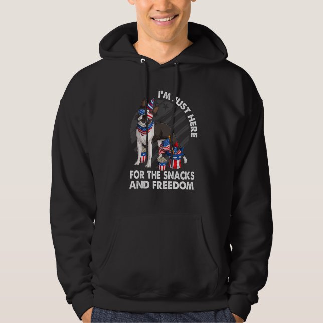 I m just here for the snacks and freedom Boston Te Hoodie (Front)
