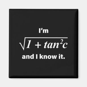 I’m Sec C And I Know It Funny Math Pun Math Lover Magnet