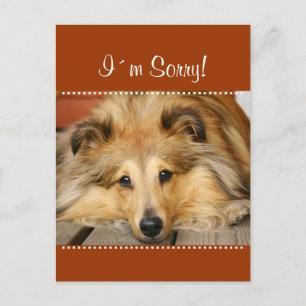 I´m Sorry postcard