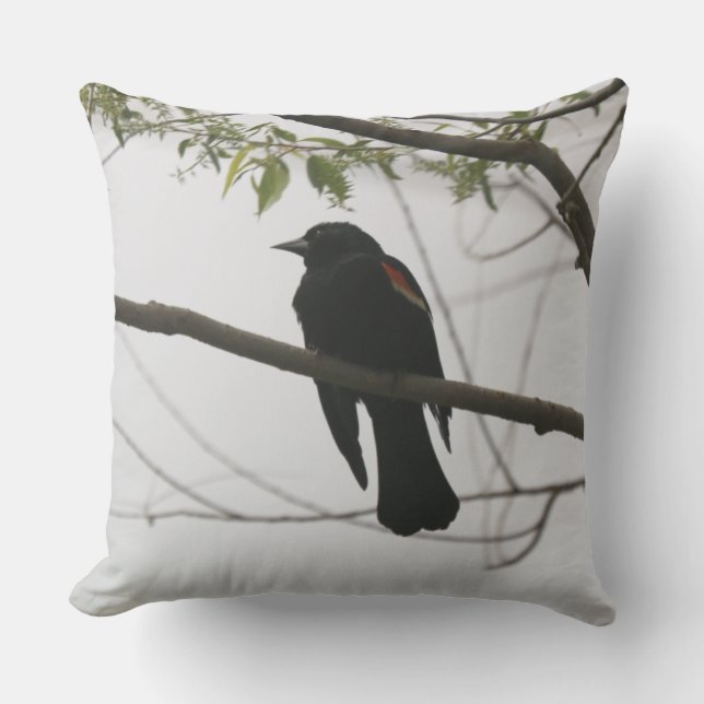I"m watching Pillow (Front)