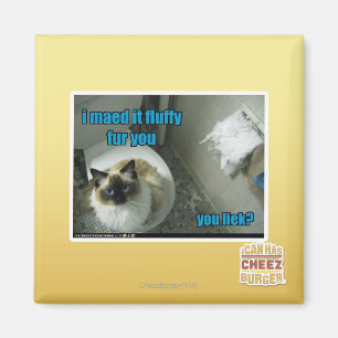 I maed it fluffy fur you magnet