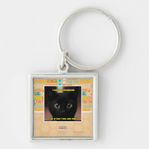 I may be schizophrenic key ring