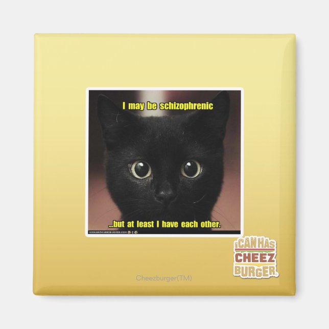 I may be schizophrenic magnet (Front)