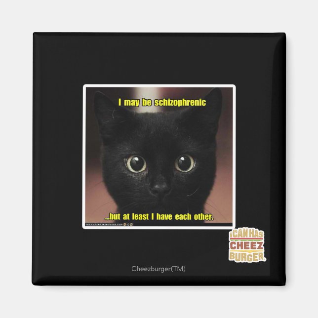 I may be schizophrenic magnet (Front)
