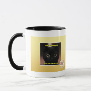 I may be schizophrenic mug