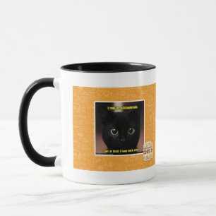 I may be schizophrenic mug