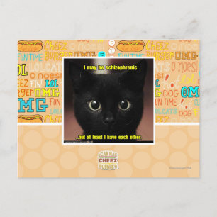 I may be schizophrenic postcard