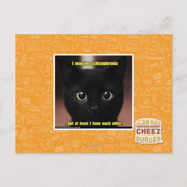I may be schizophrenic postcard (Front)