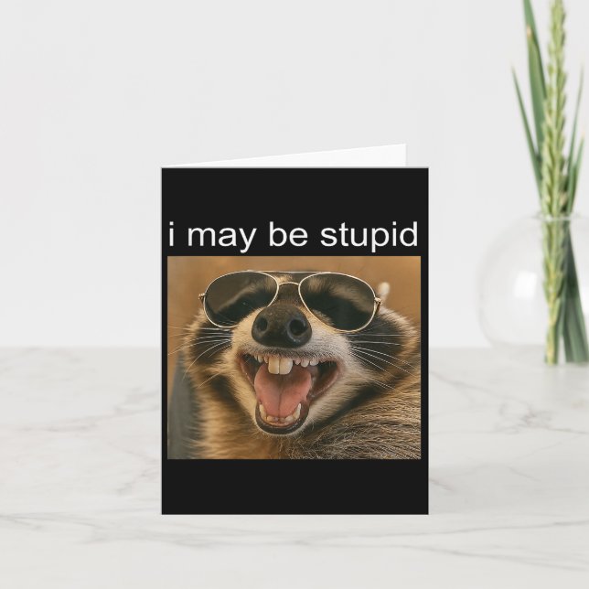 I May Be Stupid Funny Racoon Dank Meme Gen-z Humo Card (Front)