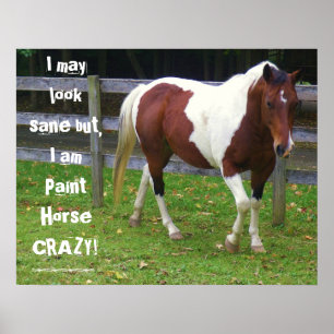 I may look sane but, I am paint horse carzy! Poster