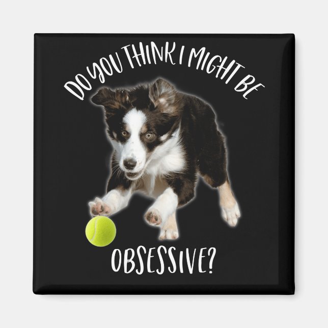 I Might Be Obsessive Typical Border Collie Magnet (Front)