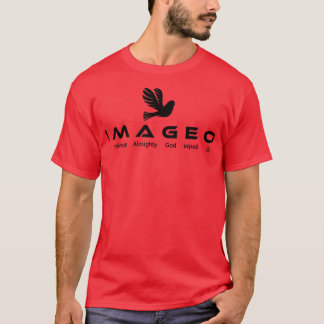 I minus Almighty God equal 0 T-Shirt