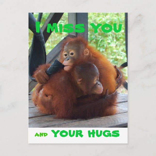 I Miss You and Your Hugs Postcard (Front)