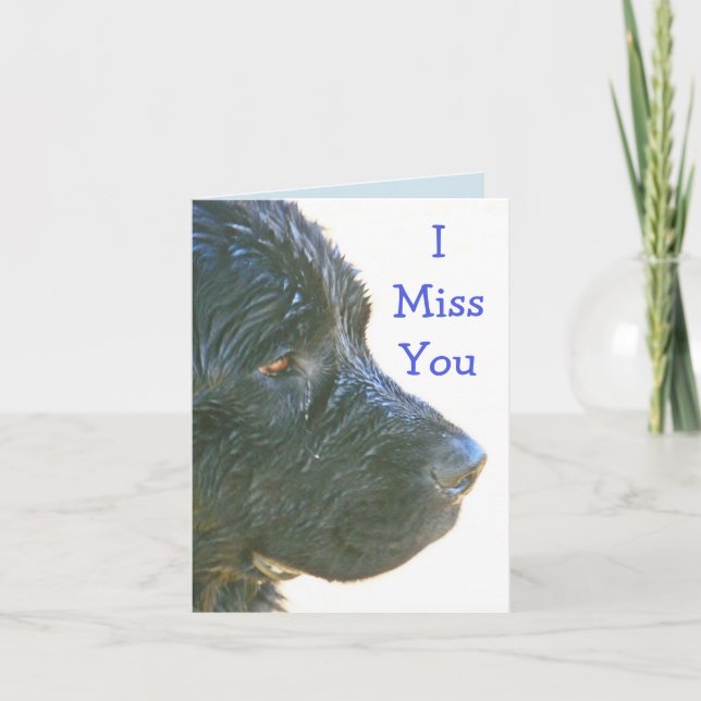 "I Miss You" Beautiful,Sad-looking Newfie Dog Card (Front)