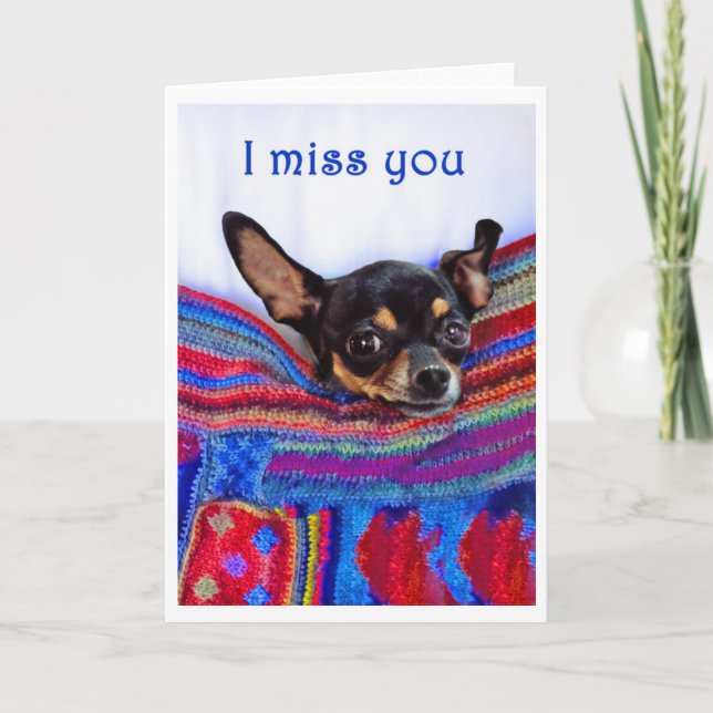 I miss you,Chihuahua dog, humour, Card (Front)